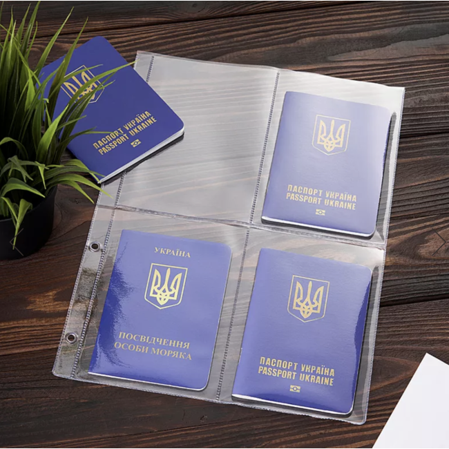 Папка моряка на змійці (кайзер) Амплуа-Блу Папка моряка на змійці (кайзер) Амплуа-Блу
